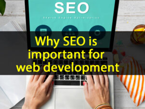 Why-SEO-is-important-for-web-development